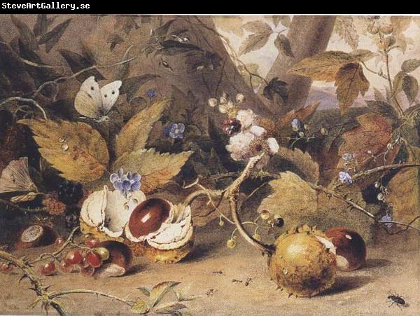 Elizabeth Byrne Still-life with horse chestnuts and insects (mk47)